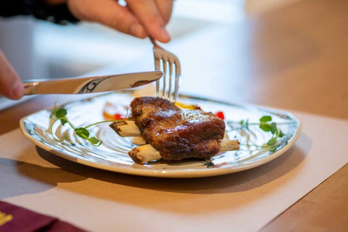 Carne nociva