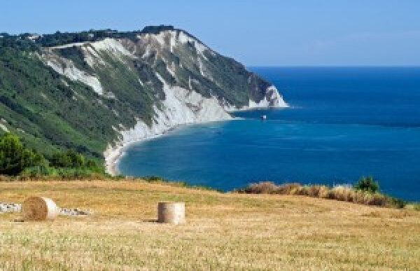Marche In Vetrina3A La Regione