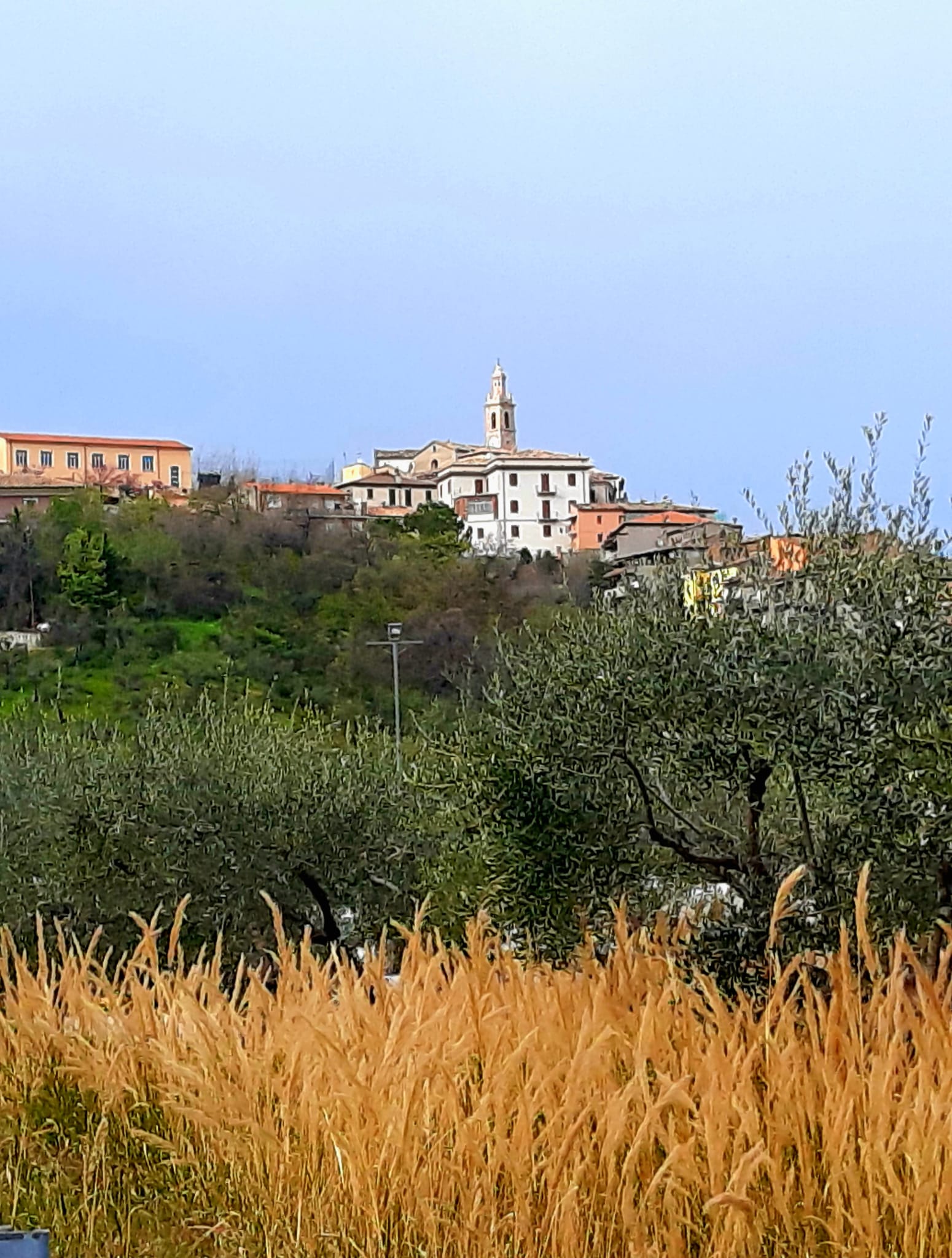 Nuove Iniziative Per Valorizza