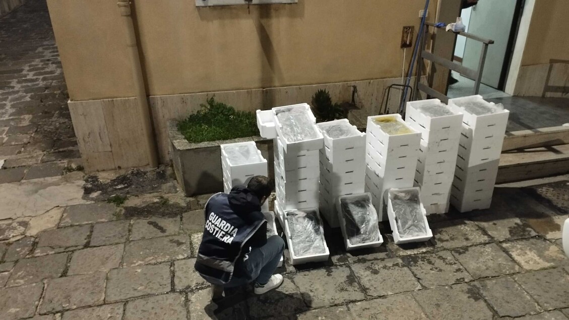 Operazione 22Nunc Nata223A Seques