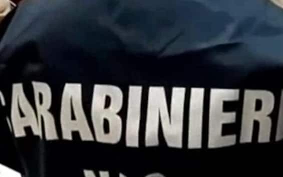 Operazione Antidroga Nelle Pro