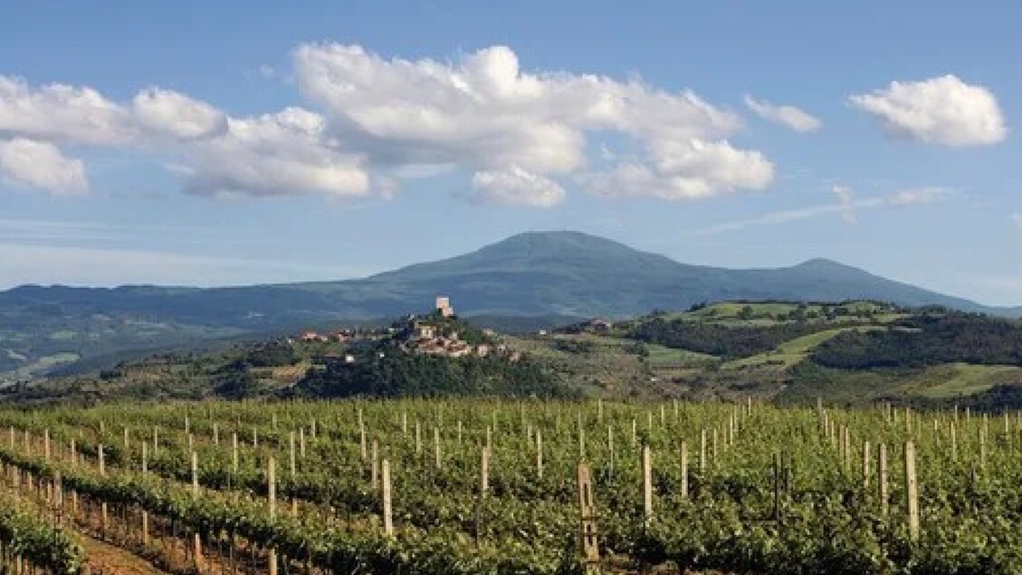 Orcia Wine Festival 20253A Reco