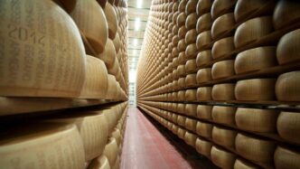 Parmigiano Reggiano3A Boom Dell