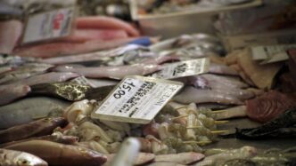 Prezzi Del Pesce E Ortaggi3A Ca