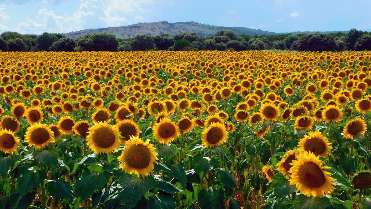 Primavera3A Il Momento Ideale P