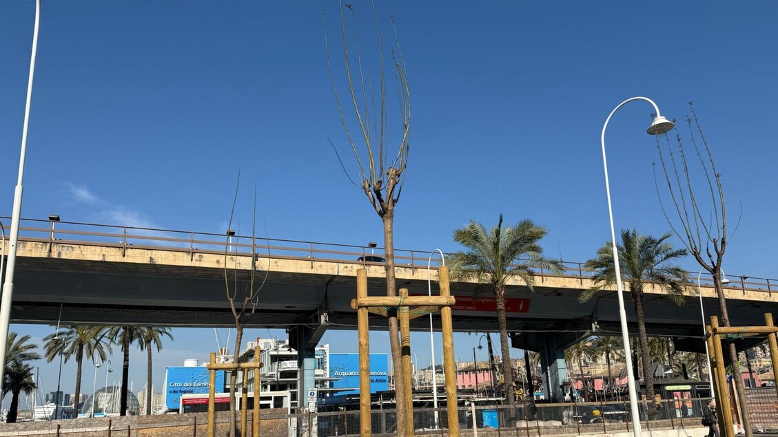 Restyling Di Piazza Caricament