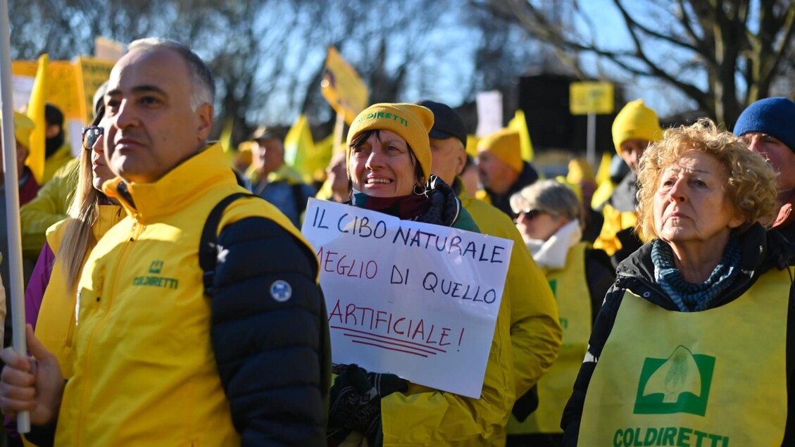 Rischio Dazi Per Il Made In It