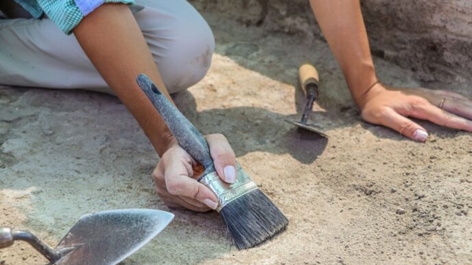 Scoperta Paleontologica In Sar