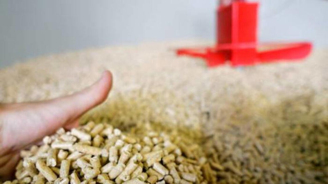 Sequestro Di Oltre 4Mila Tonne