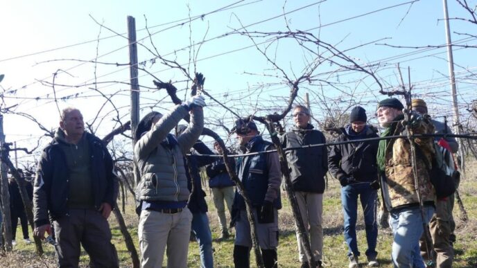 Sicurezza Nel Settore Agricolo