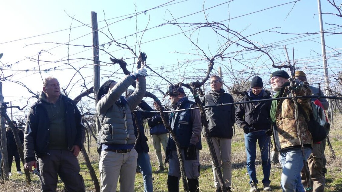 Sicurezza Nel Settore Agricolo