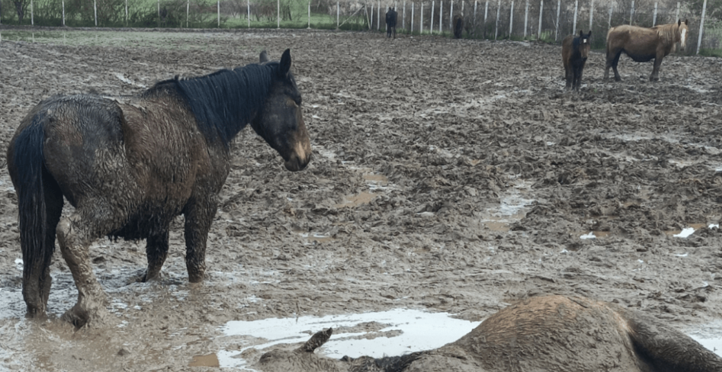 Sopralluoghi E Sanzioni3A Il Se