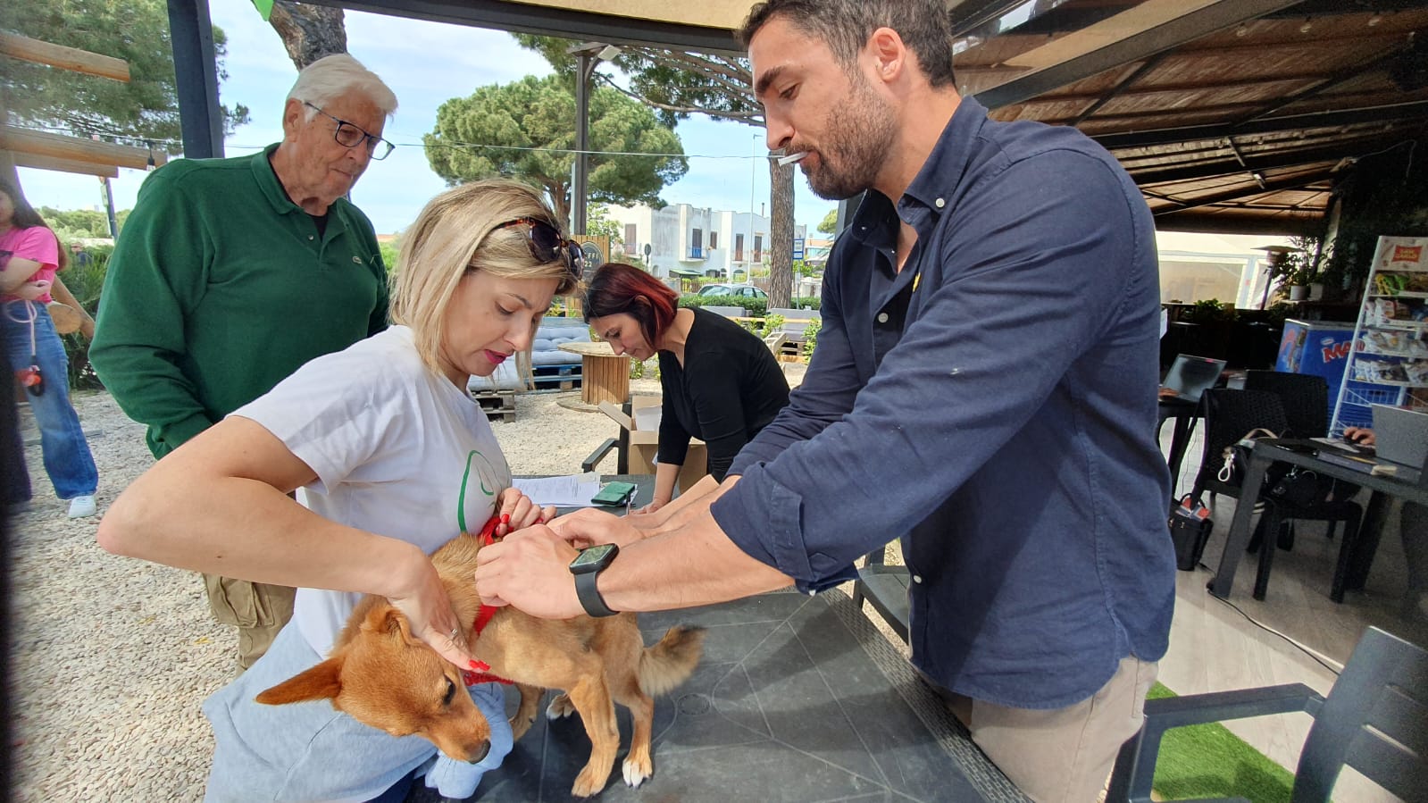 Successo Per Il Microchip Day