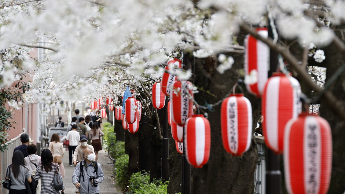 Tokyo Critica I Dazi Statunite