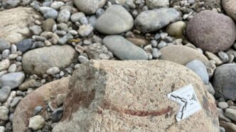 Trovato Il Cadavere Di Una Gio