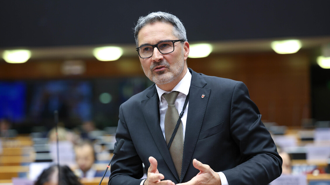 Ultima Fase Per La Revisione D