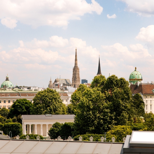 Vienna Evolve La Visitor Econo