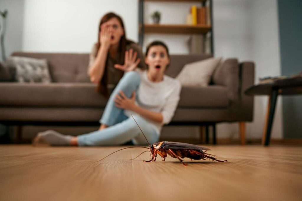 come combattere le blatte