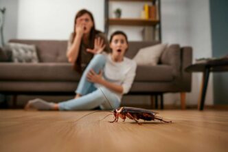 Come Combattere Le Blatte