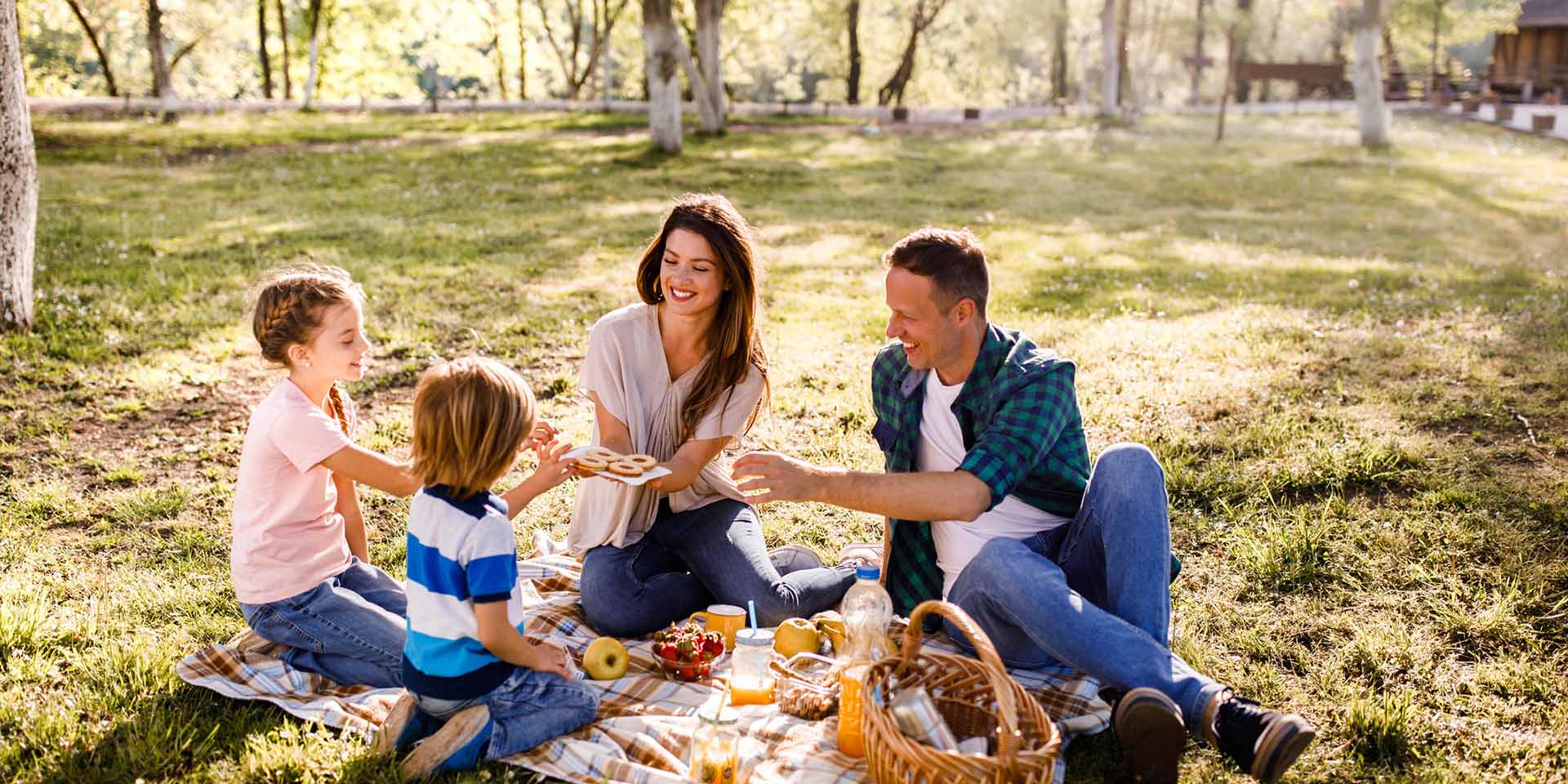Come Organizzare Un Picnic All