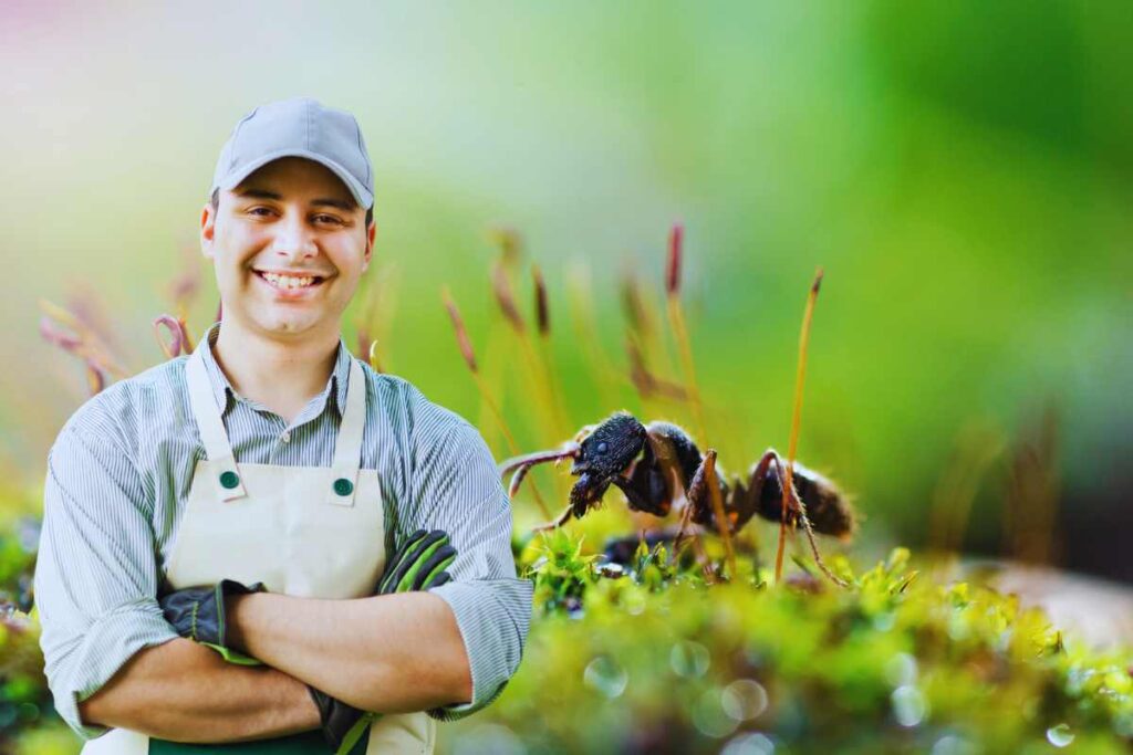 come eliminare le formiche dal giardino
