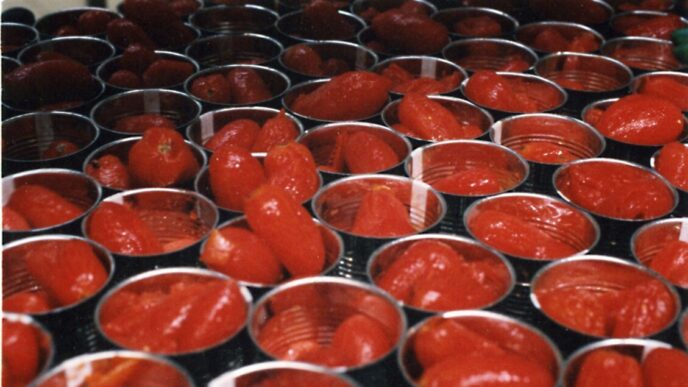 Esportazioni Di Pomodoro Nel 2