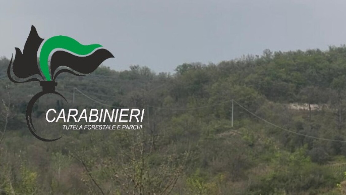 Interventi Dei Carabinieri For
