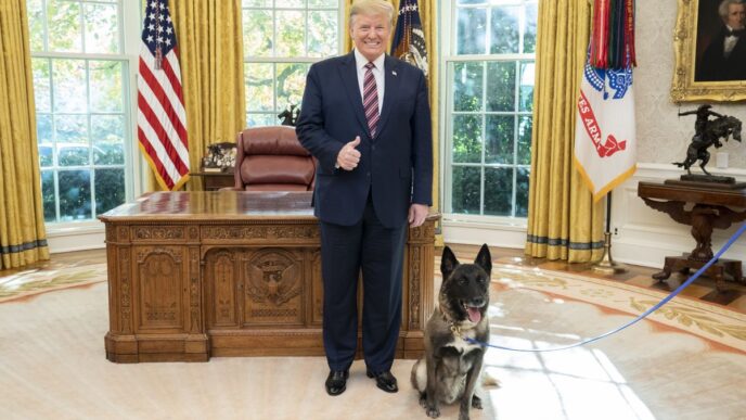 Le28099America Di Trump Vista Nel 2