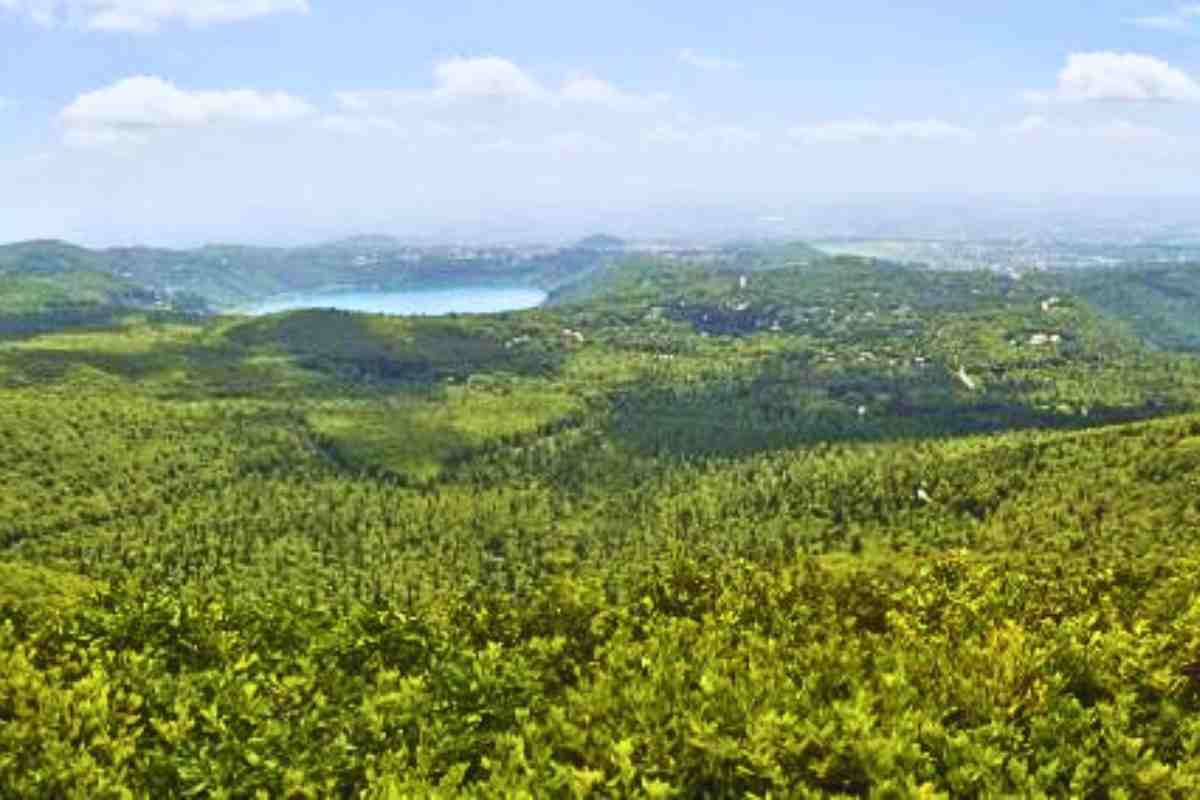 Il Bellissimo Parco Dei Castelli Romani