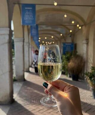 Vini Delle Sabbie Del Bosco El