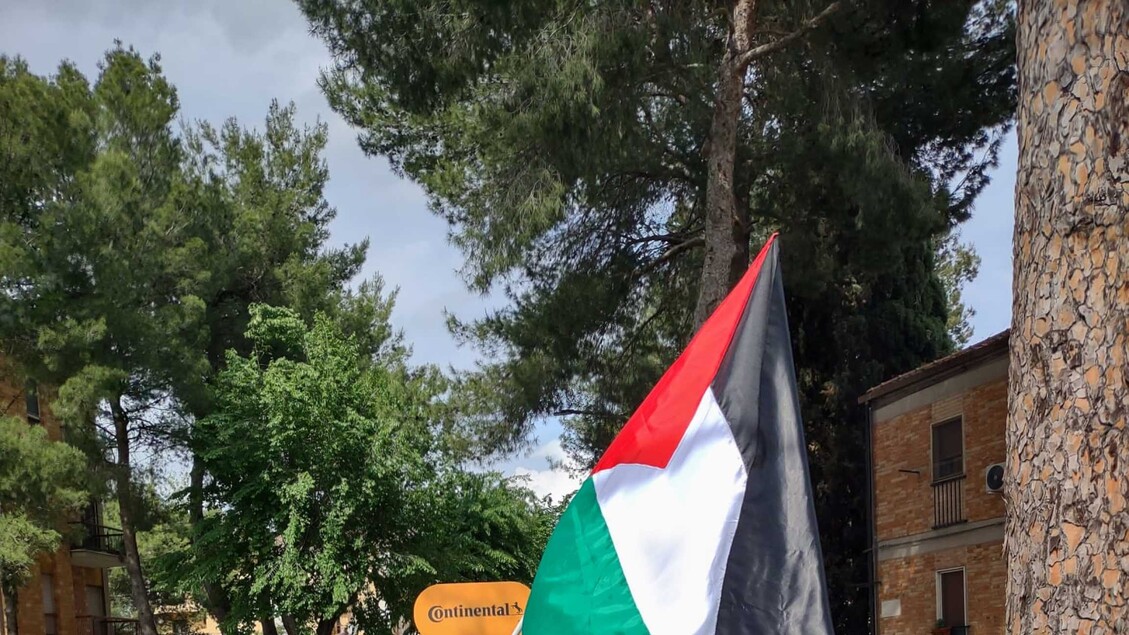 A Matera Attivisti Mostrano La