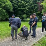 A Parma Ritrovati Resti Sospetti In Strada: Possibile Feto Nei Primi Stadi Di Sviluppo