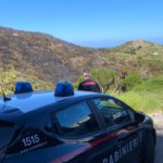 A Ponza Un Incendio Distrugge 12 Ettari Di Macchia Mediterranea: Intervento Di Vigili Del Fuoco E Carabinieri Forestali