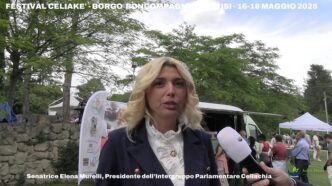 A Roma Focus Sulla Celiachia N