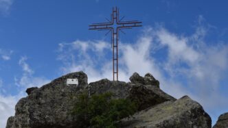 Accesso Aperto Alla Foresta De