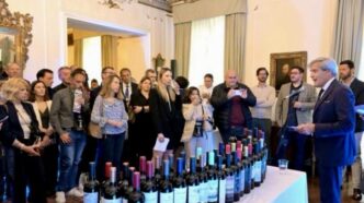 Aerolc3Adneas Argentinas Celebra