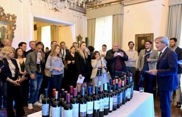 Aerolc3Adneas Argentinas Celebra