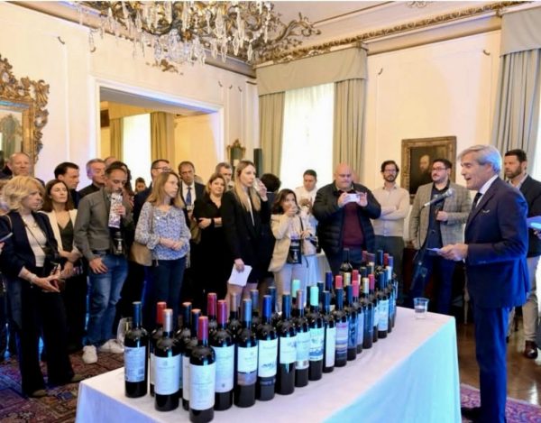 Aerolc3Adneas Argentinas Celebra