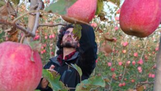 Agrifood Future Award A Salern