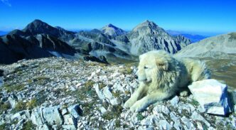 Al Via Argos2C Progetto Nel Par