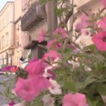 Alla Scoperta Di San Pellegrino In Fiore: Storia, Arte E Tradizioni Nella Tuscia