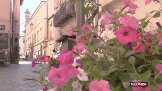 Alla Scoperta Di San Pellegrin