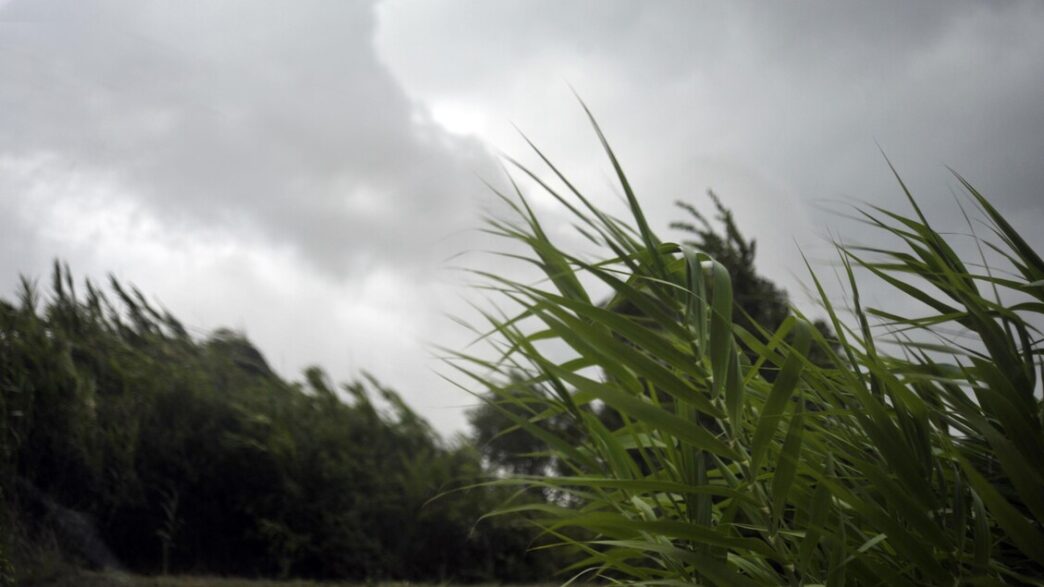 Allerta Meteo Per Domani2C Vent