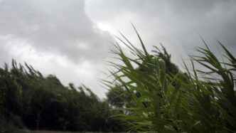 Allerta Meteo Per Domani2C Vent