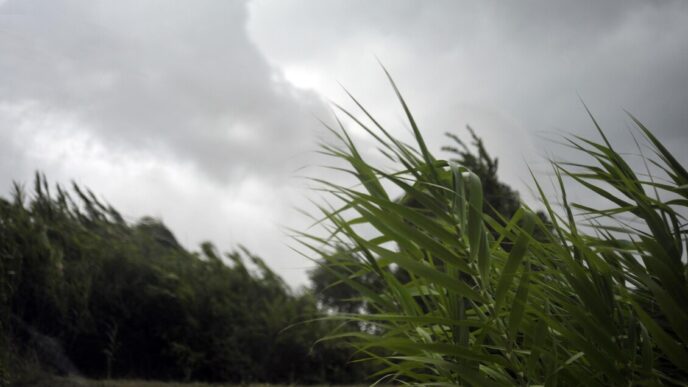 Allerta Meteo Per Domani2C Vent