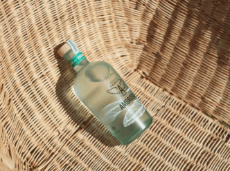 Ambrosia Gin Day Edition Conqu