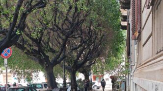 Annullati Daspo E Multa A Senz