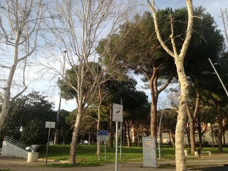 Aprile2C Manifestazione Per La