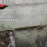 Arrestato A Ginosa Spacciatore Con Cinque Chili Di Droga E Rifugio Sotterraneo Attrezzato