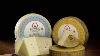 Asiago Dop2C Consumi In Crescit